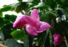 DSC00317
